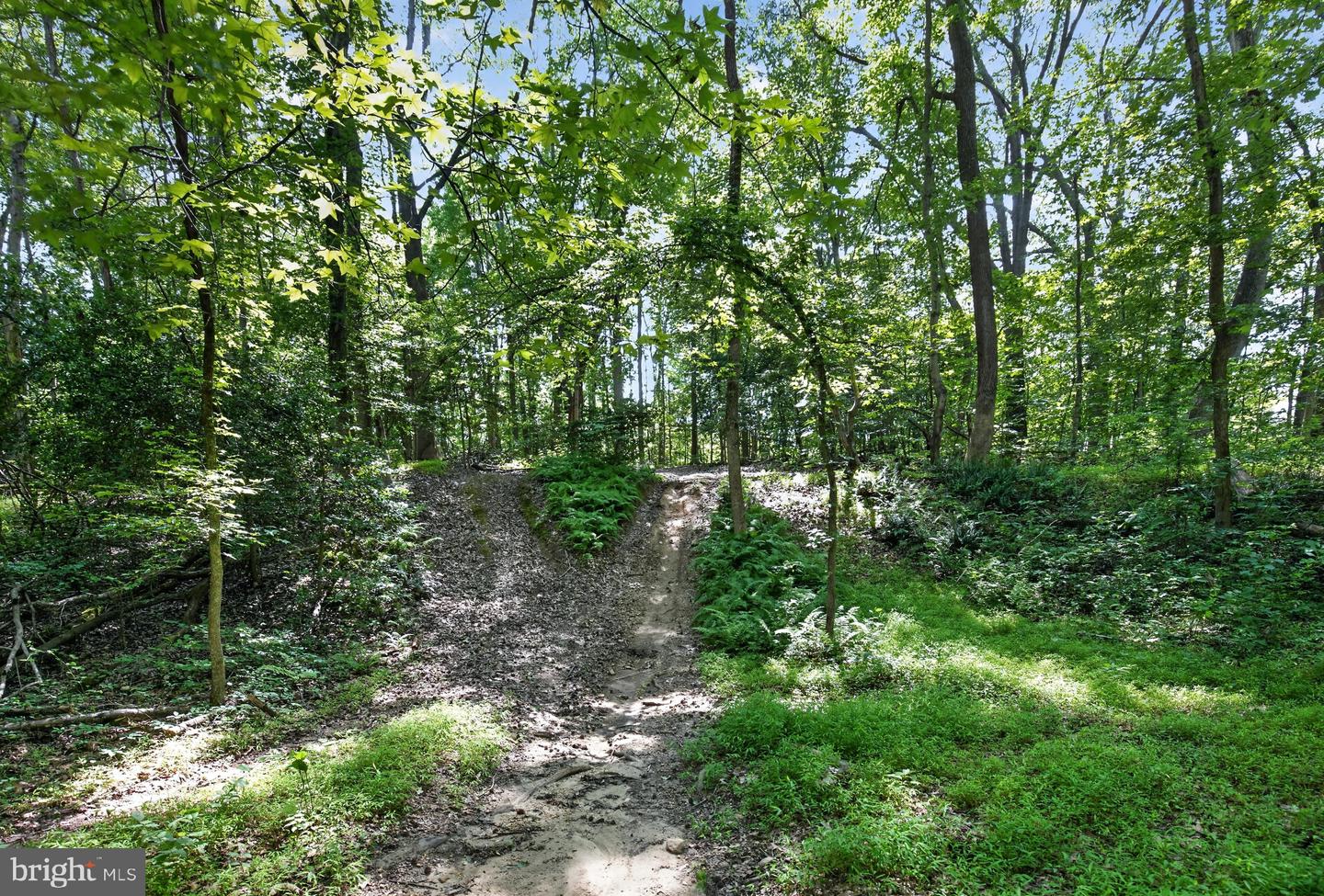 11450 Edge Hill Rd Property Photo 53