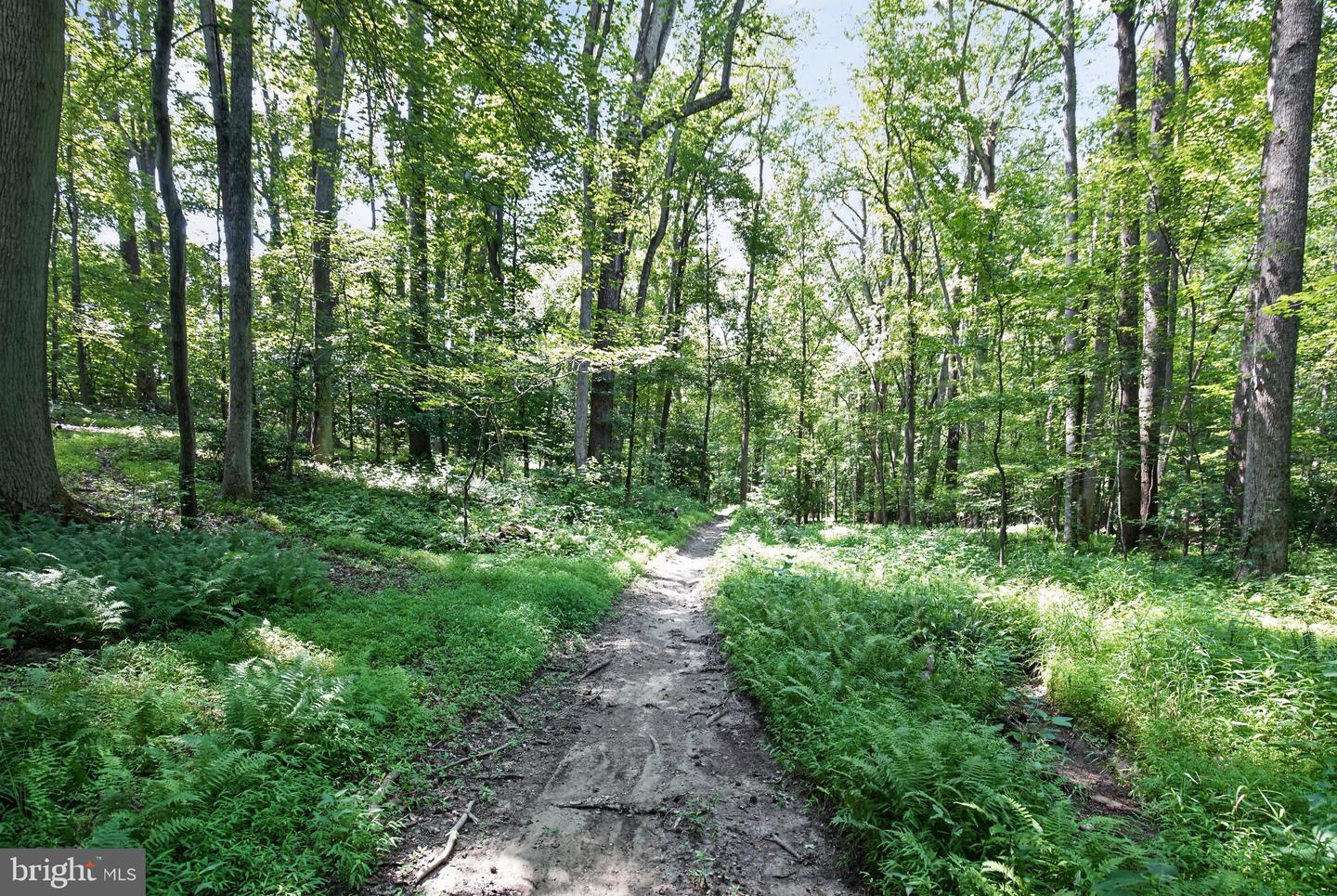 11450 Edge Hill Rd Property Photo 54