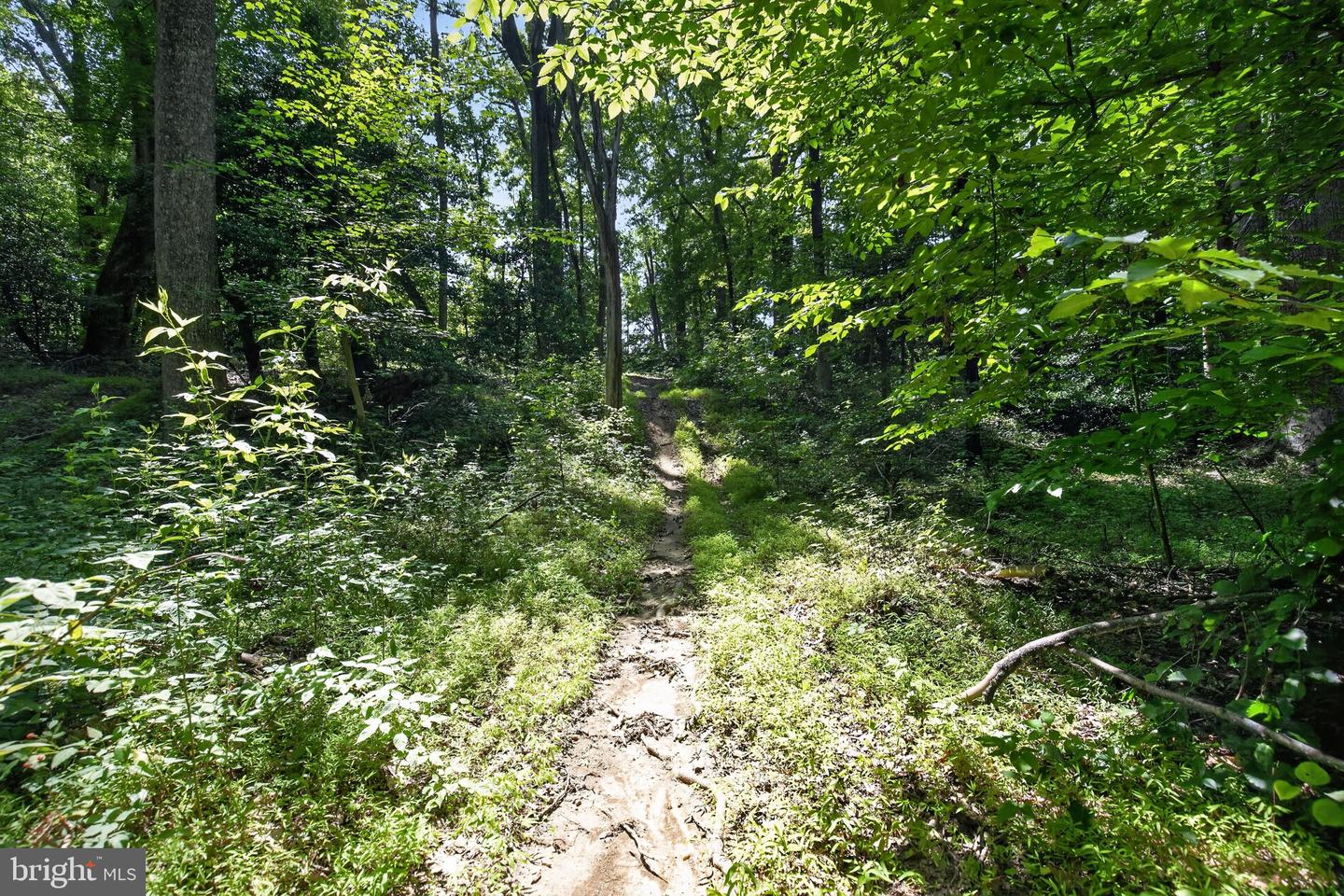 11450 Edge Hill Rd Property Photo 55