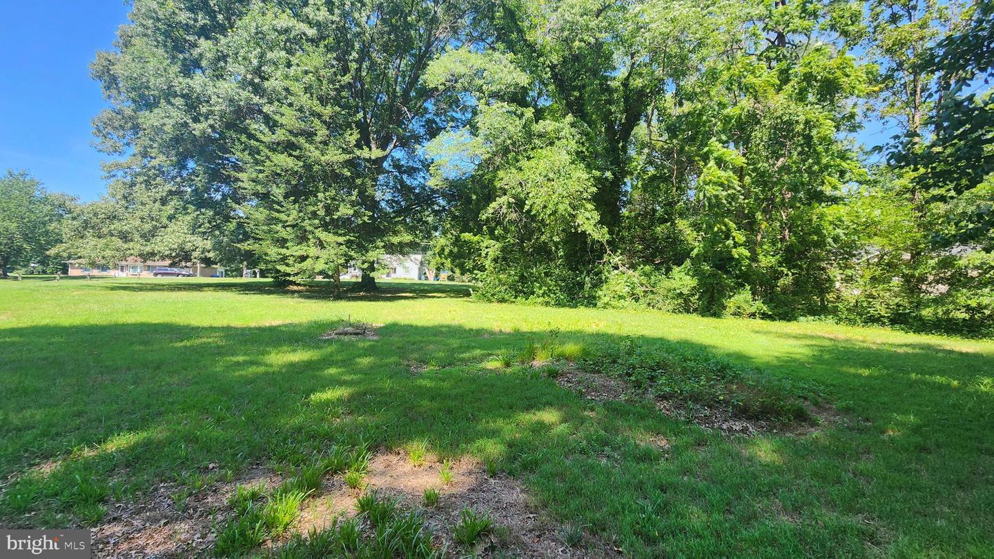 Lot 75 Poplar Lane Property Photo 9