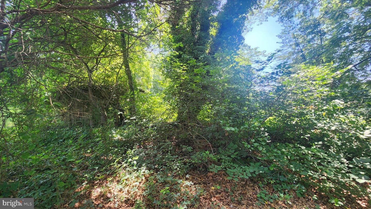 Lot 75 Poplar Lane Property Photo 10