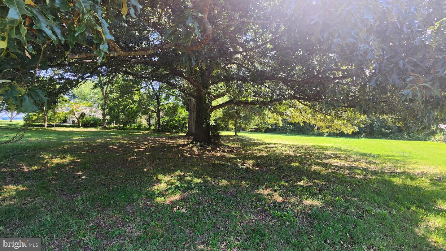 Lot 75 Poplar Lane Property Photo 12