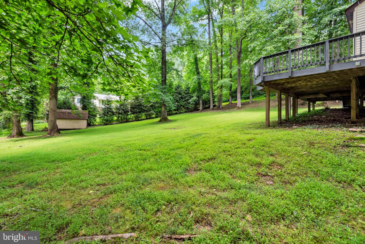 4350 Lady Trisha Ct Property Photo 46