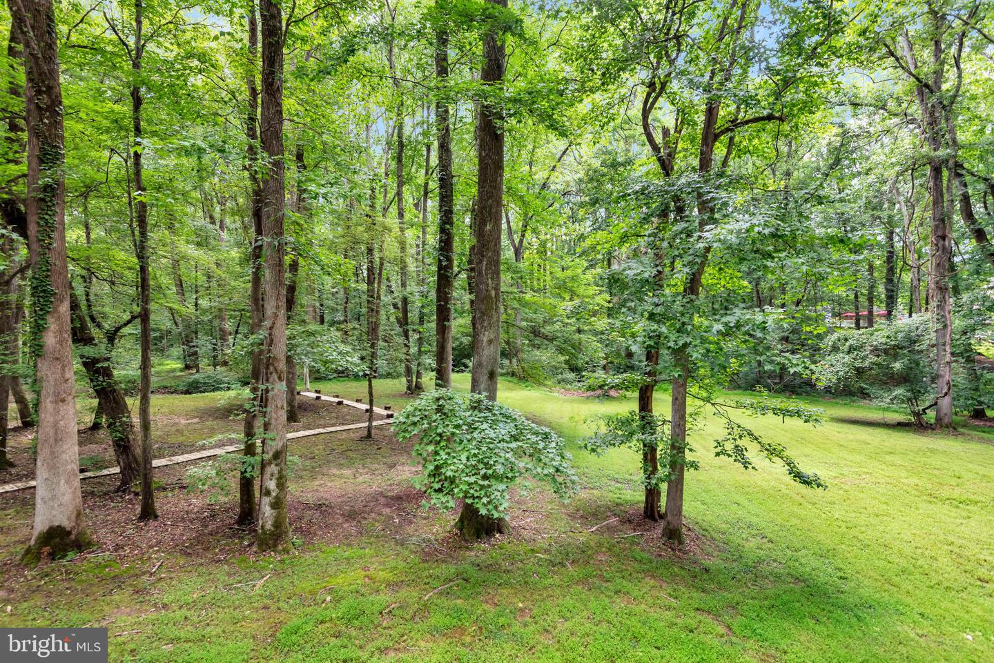 4350 Lady Trisha Ct Property Photo 47