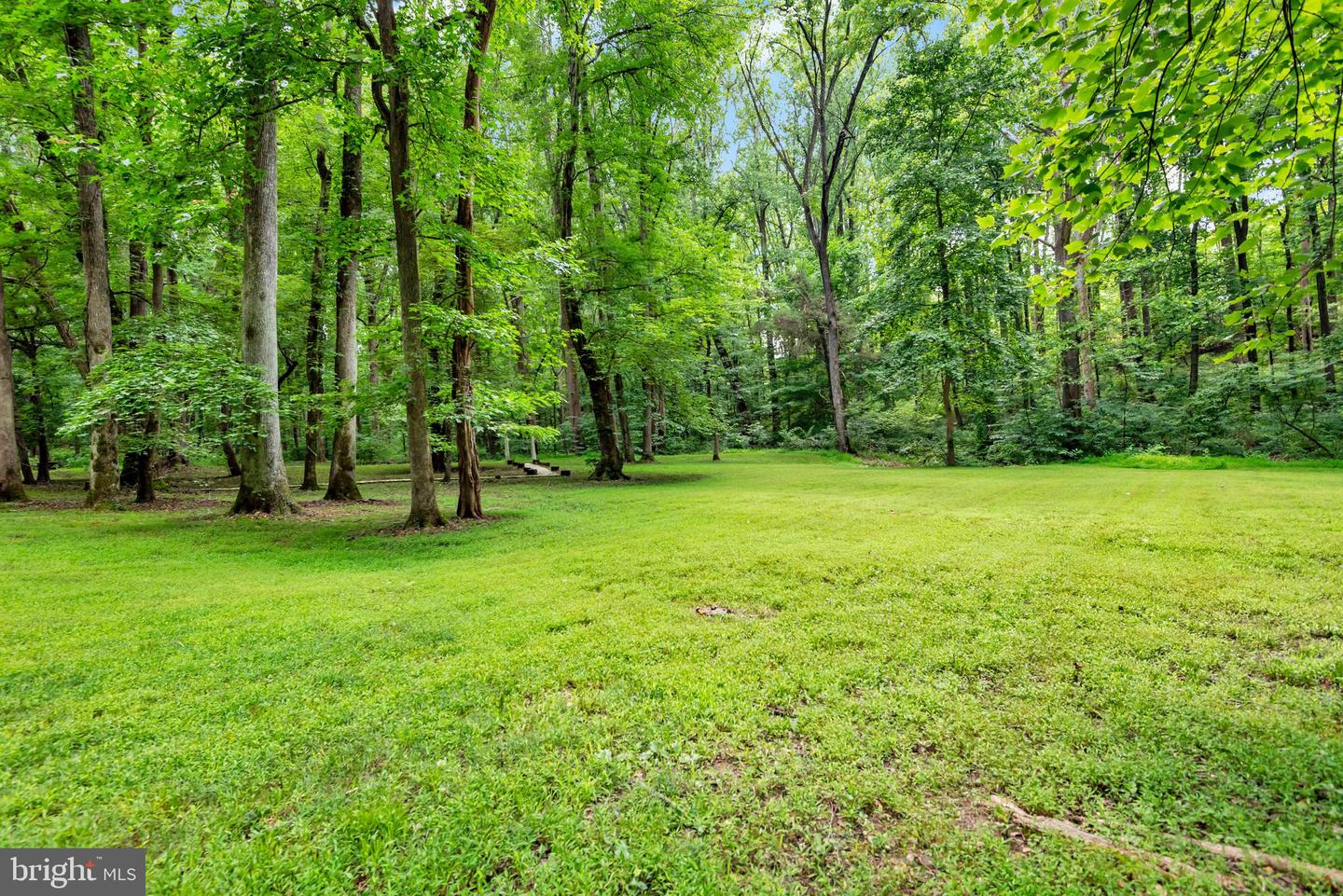 4350 Lady Trisha Ct Property Photo 52