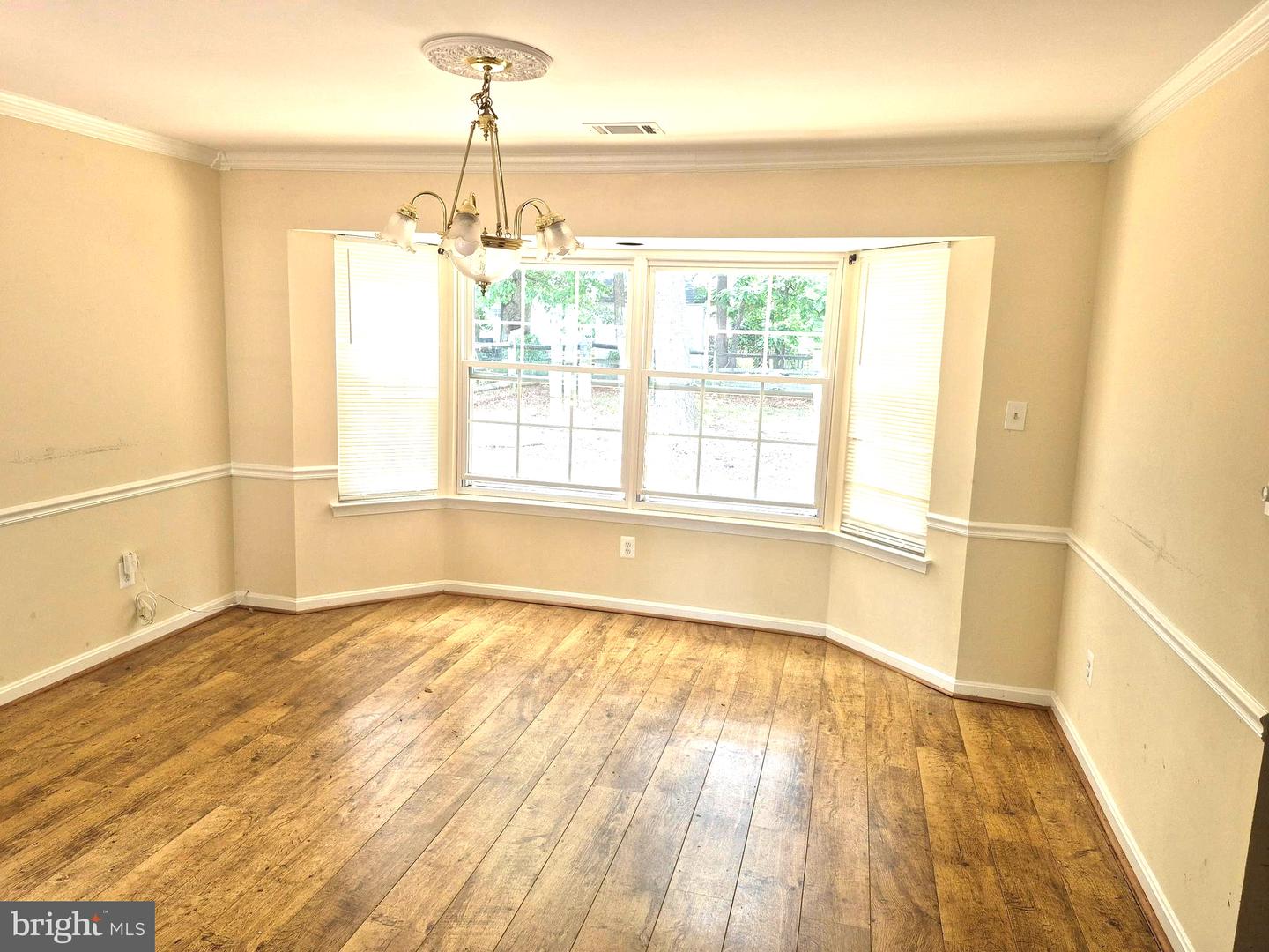 6006 Black Bear Ct Property Photo 2