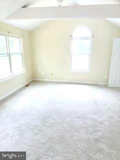 6006 Black Bear Ct Property Photo 6