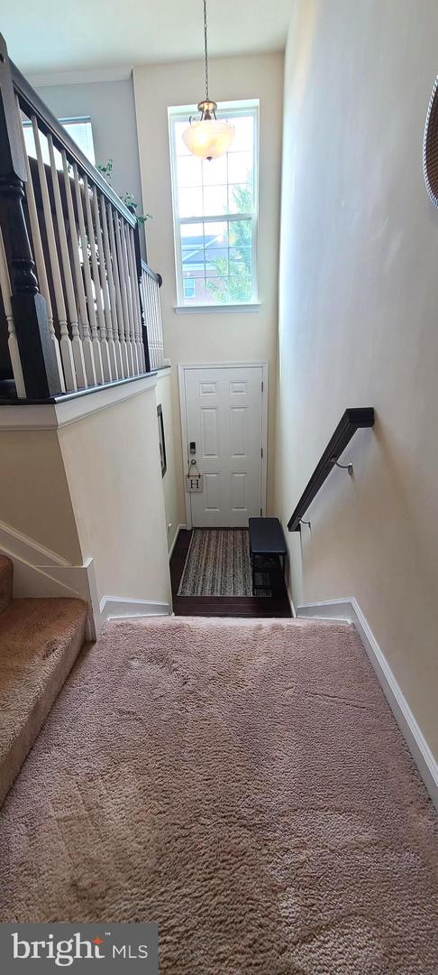 11121 Southport Pl Property Photo 19