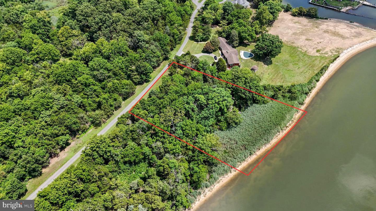 12505 Potomac View Dr Property Photo 4