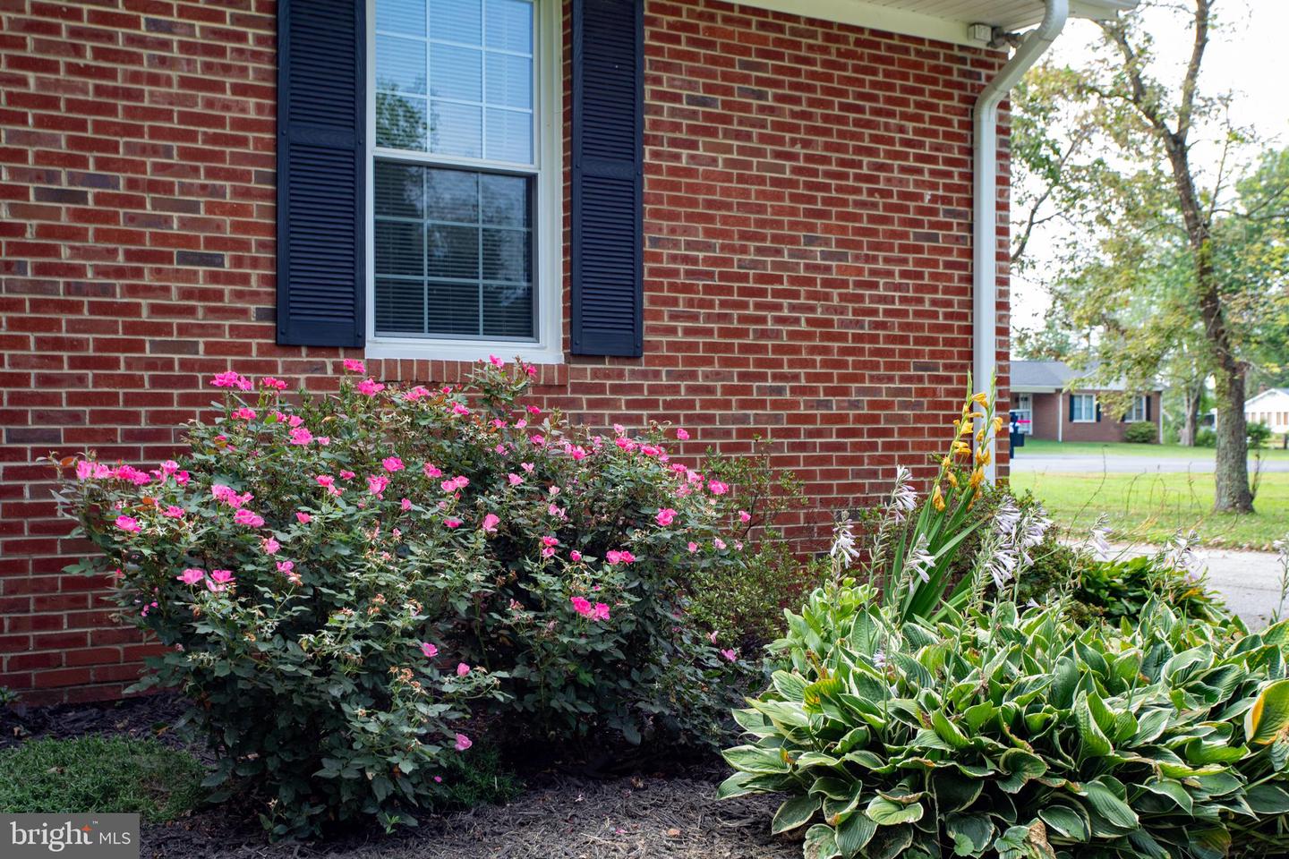 7349 Mary Dr Property Photo 7