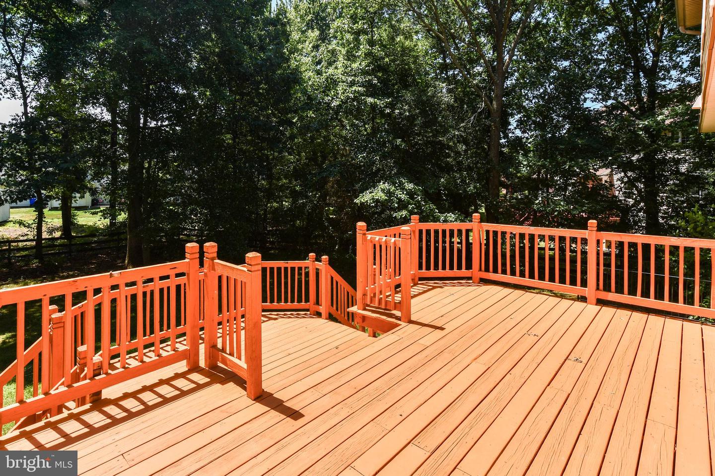 2406 Berry Thicket Ct Property Photo 21