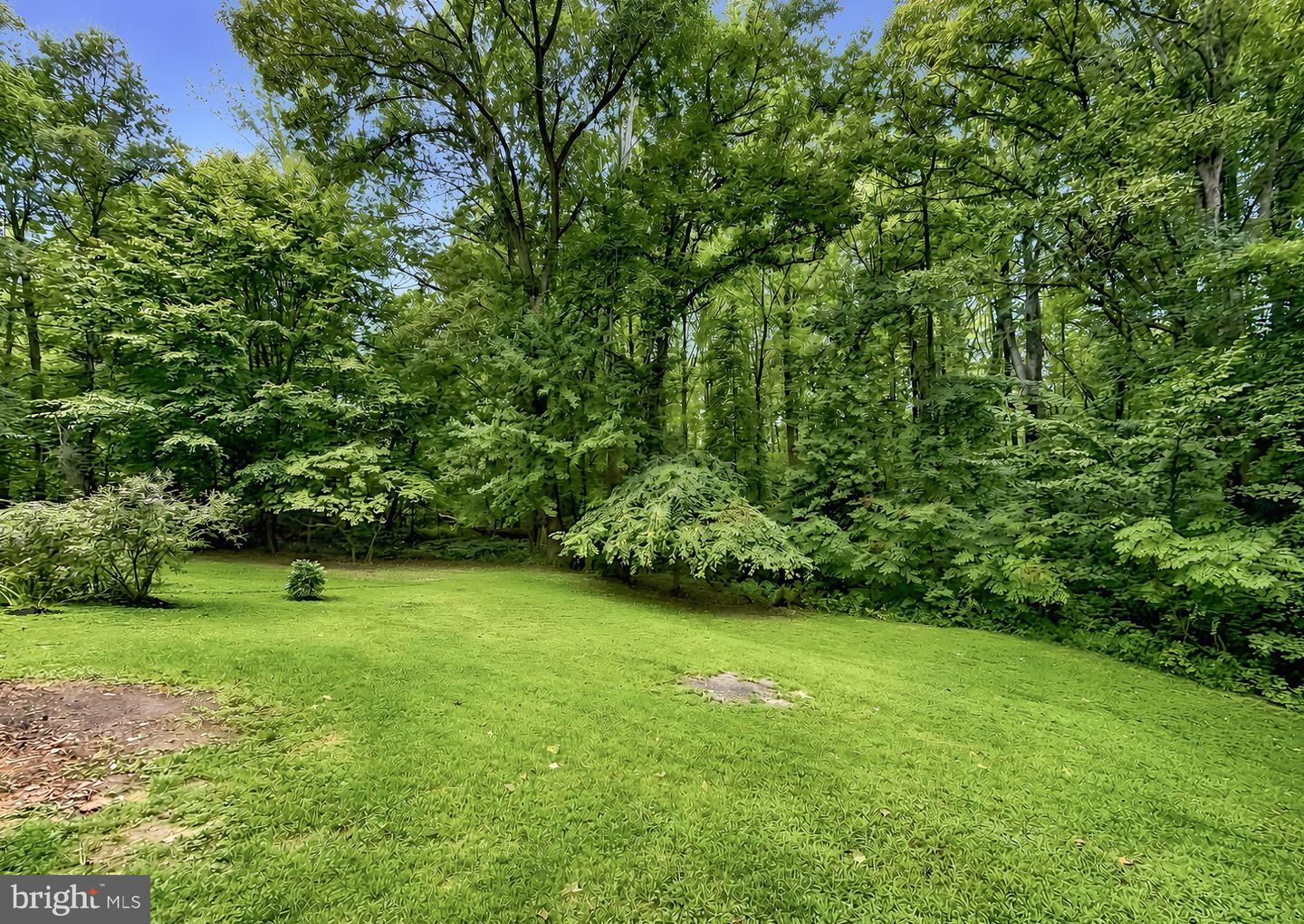 7115 Maxwell Dr Property Photo 62