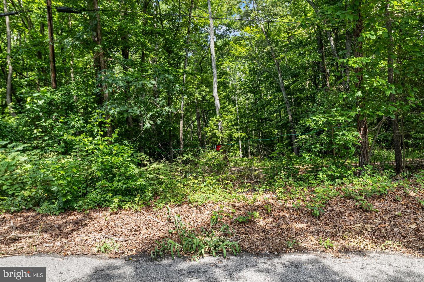 Shiloh Church Rd Property Photo 2