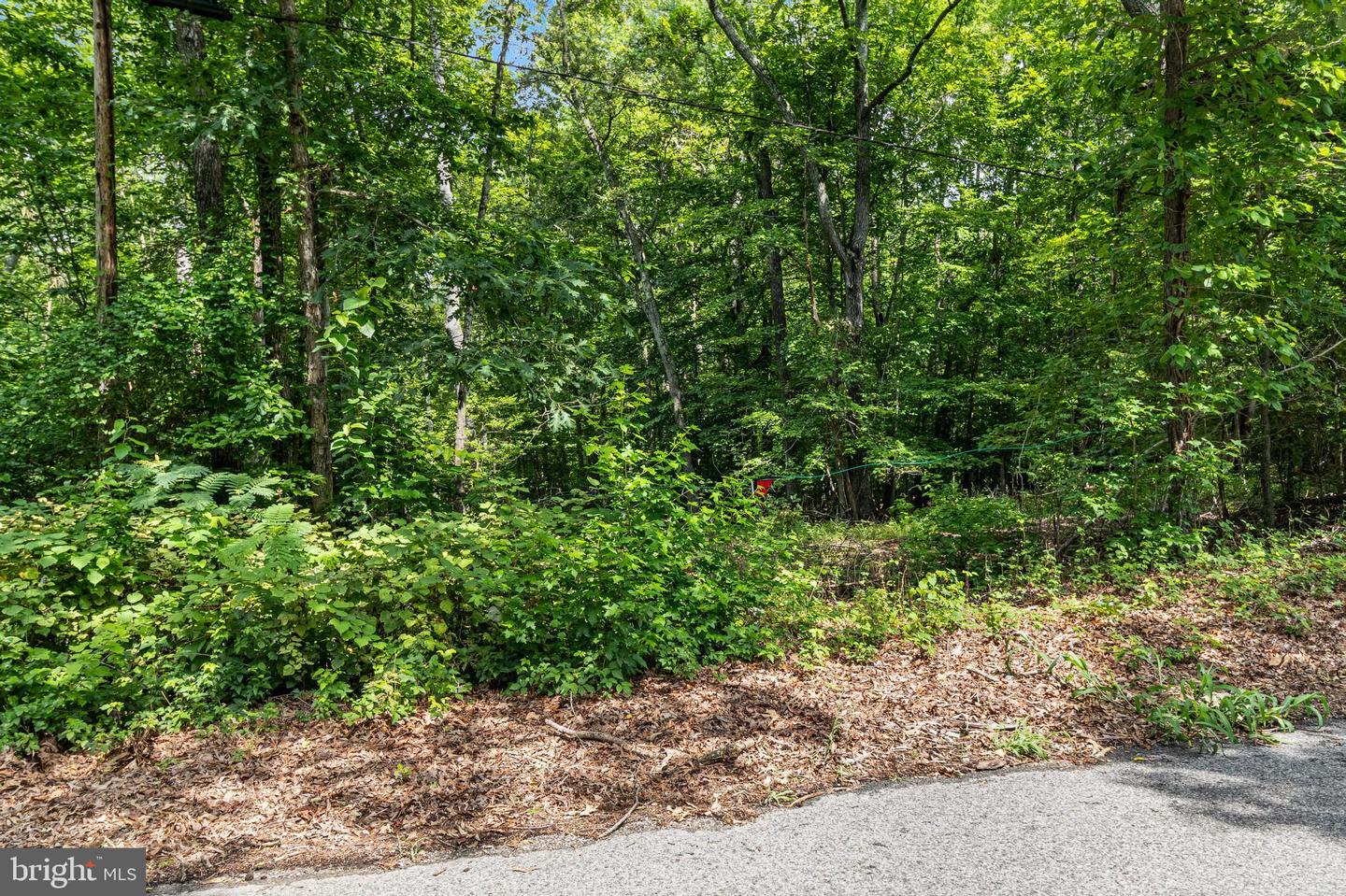 Shiloh Church Rd Property Photo 3