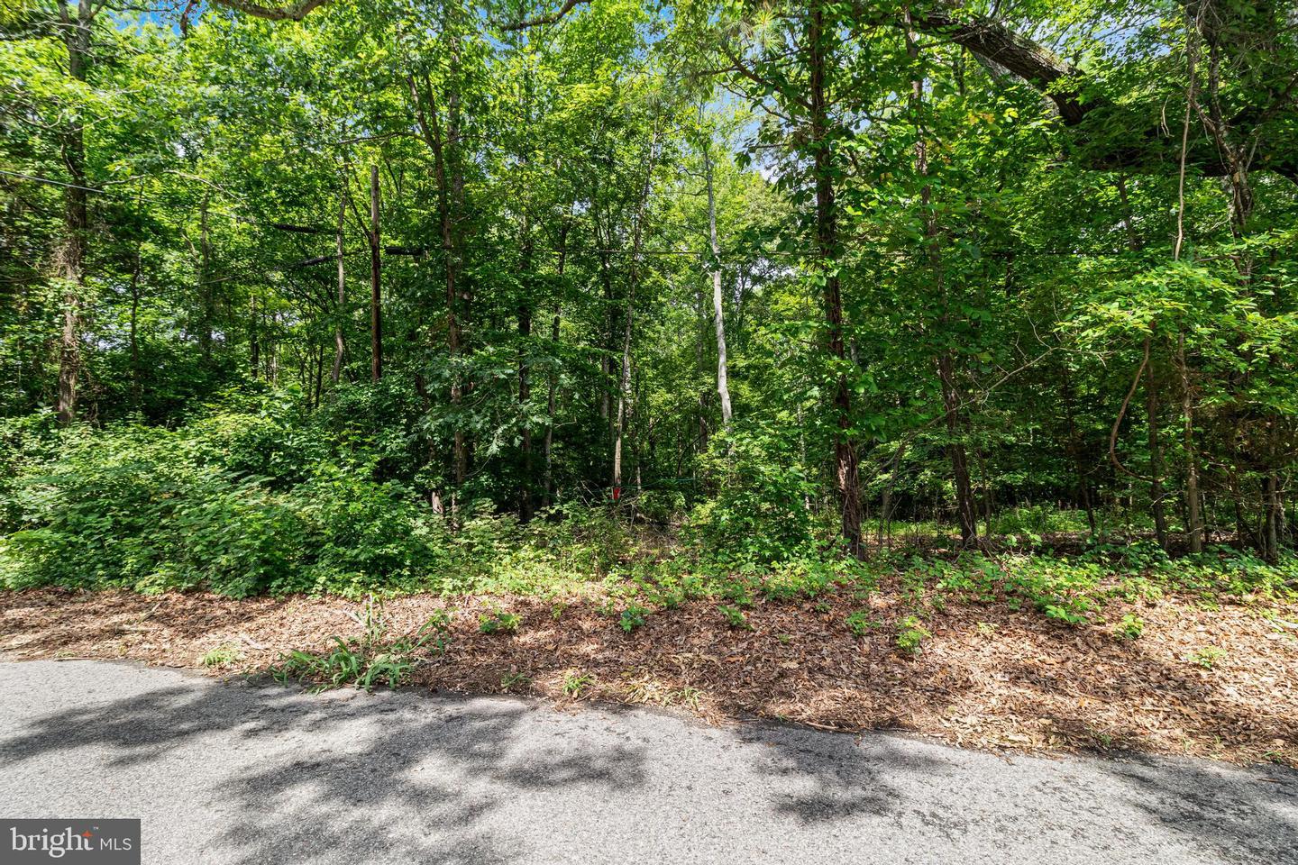 Shiloh Church Rd Property Photo 4