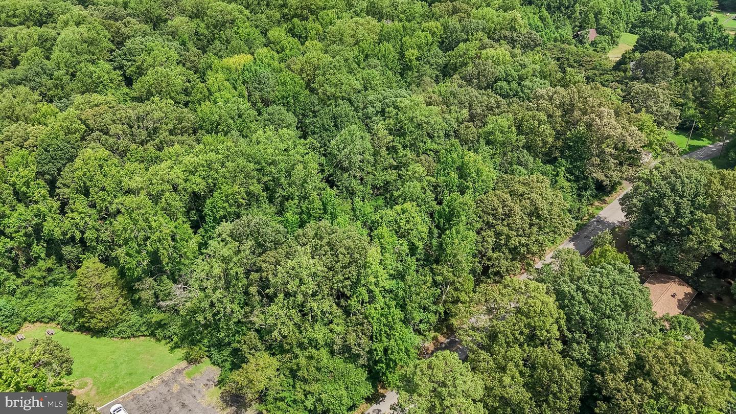 Shiloh Church Rd Property Photo 6