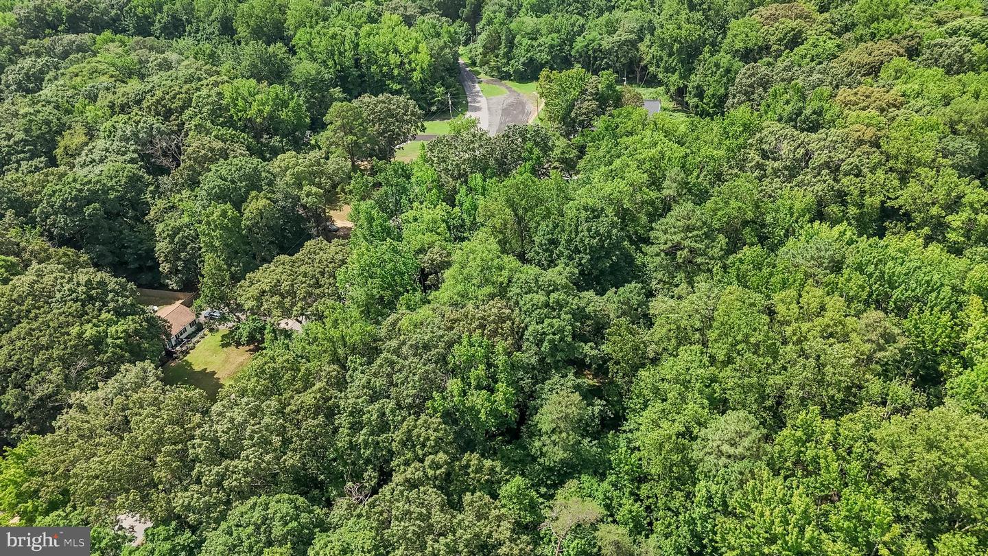 Shiloh Church Rd Property Photo 14