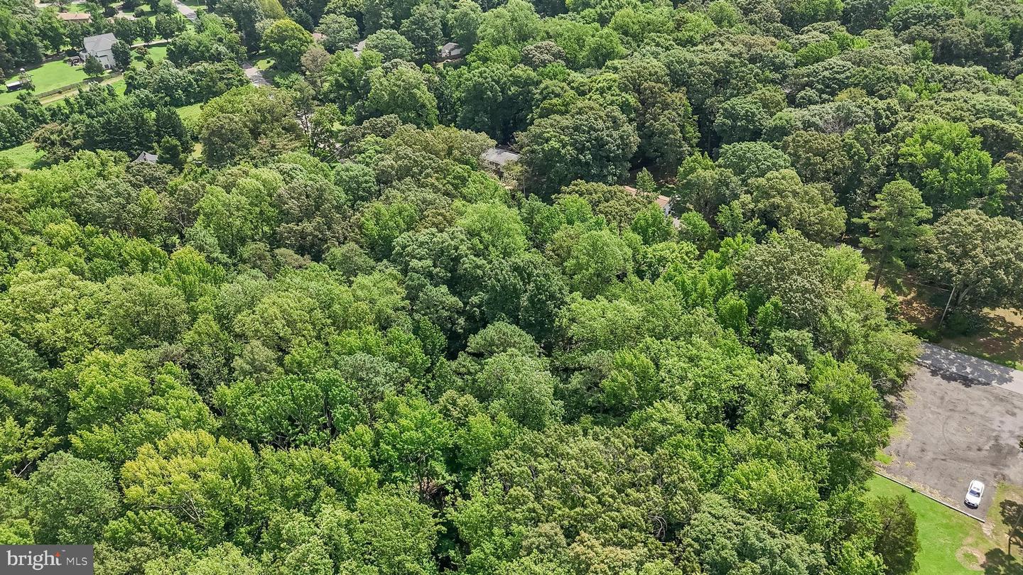Shiloh Church Rd Property Photo 17