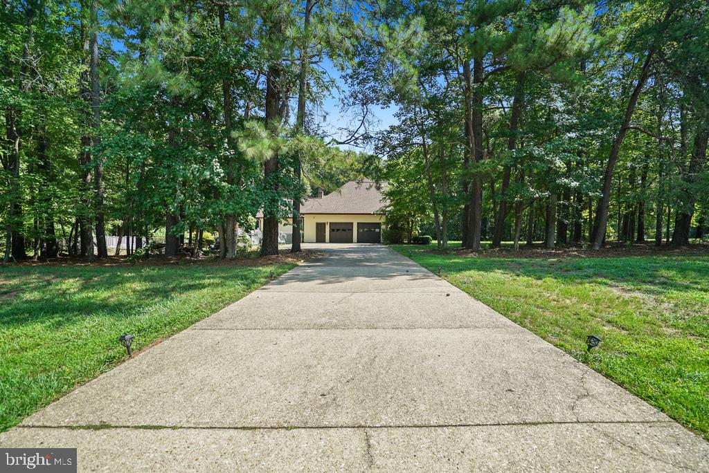 13550 Forest Pl Property Photo 9