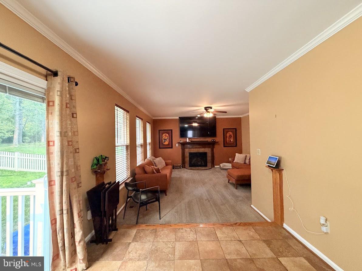 2148 Cedar Tree Ln Property Photo 20