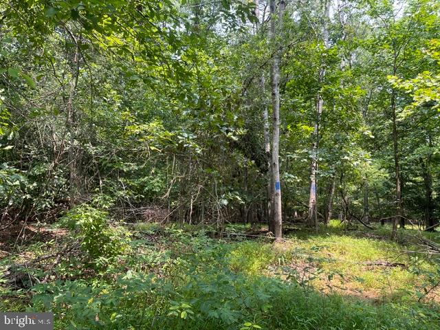 3590 Twinbrook Dr Property Photo 2