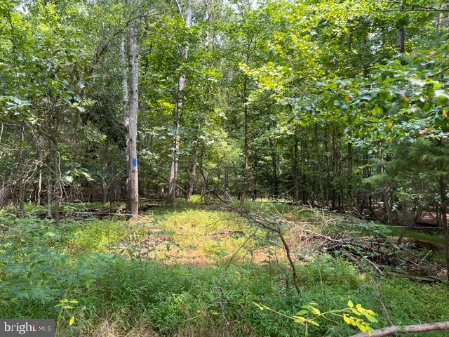 3590 Twinbrook Dr Property Photo 3