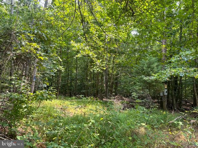 3590 Twinbrook Dr Property Photo 4