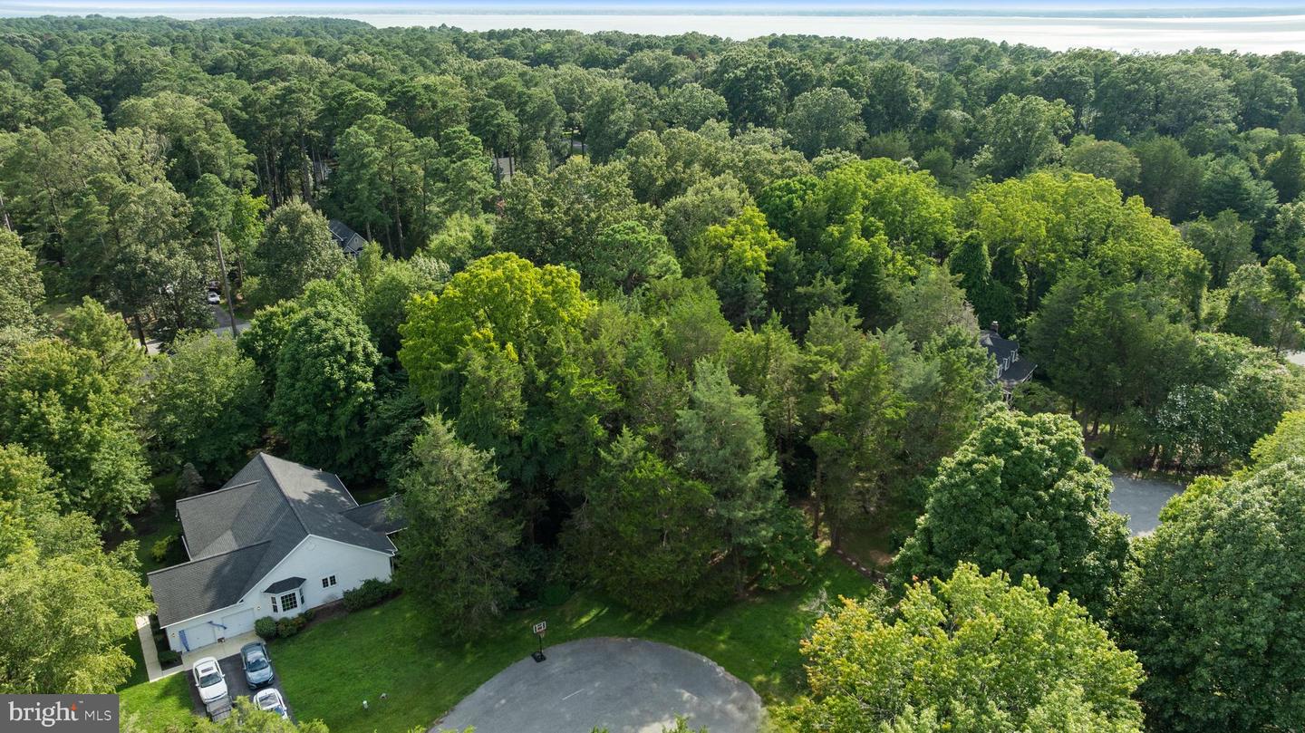 11915 Limestone Ct Property Photo 6