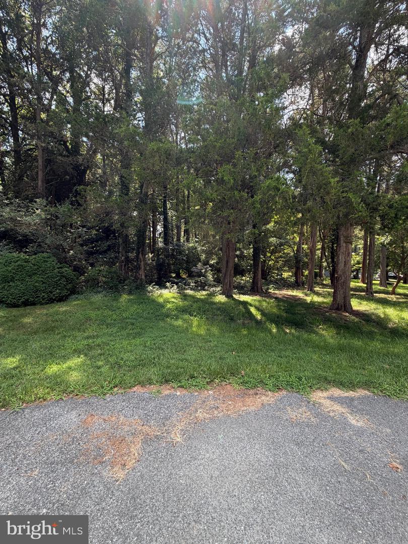 11915 Limestone Ct Property Photo 29
