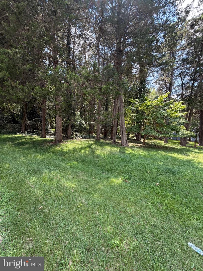 11915 Limestone Ct Property Photo 30