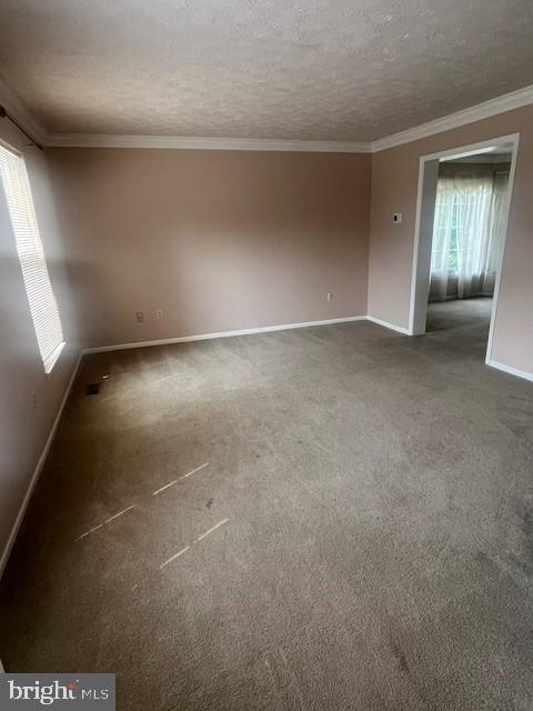 2306 Alava Ct Property Photo 19