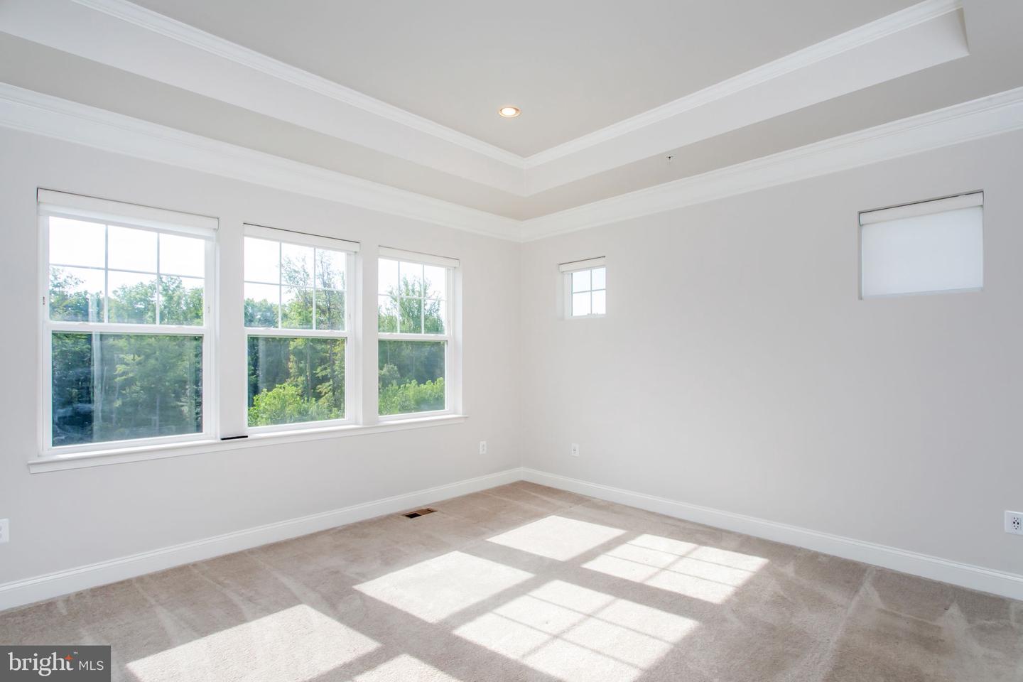 11456 James Joyce Ct Property Photo 23