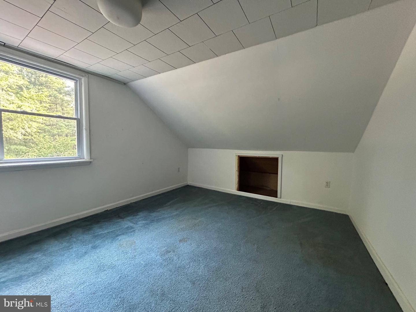 4850 Dayton Pl Property Photo 11