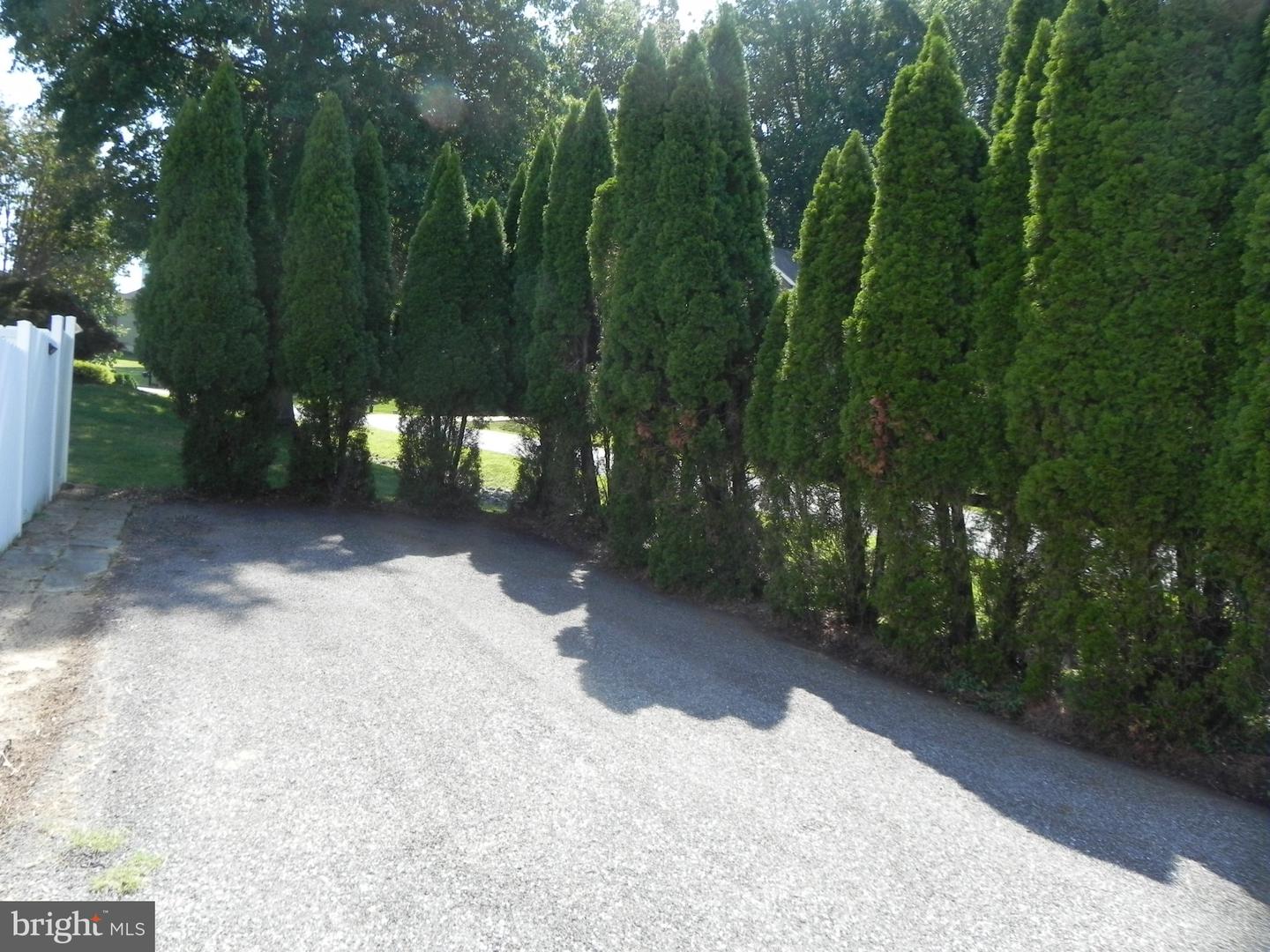 7875 Fern Hill St Property Photo 4