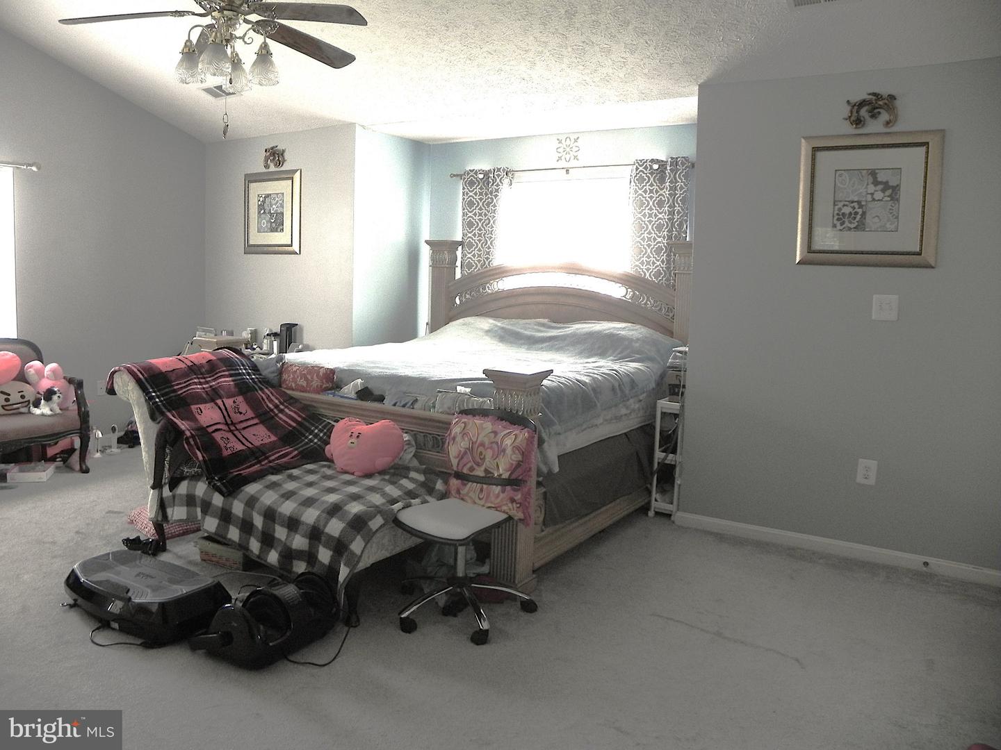 7875 Fern Hill St Property Photo 33