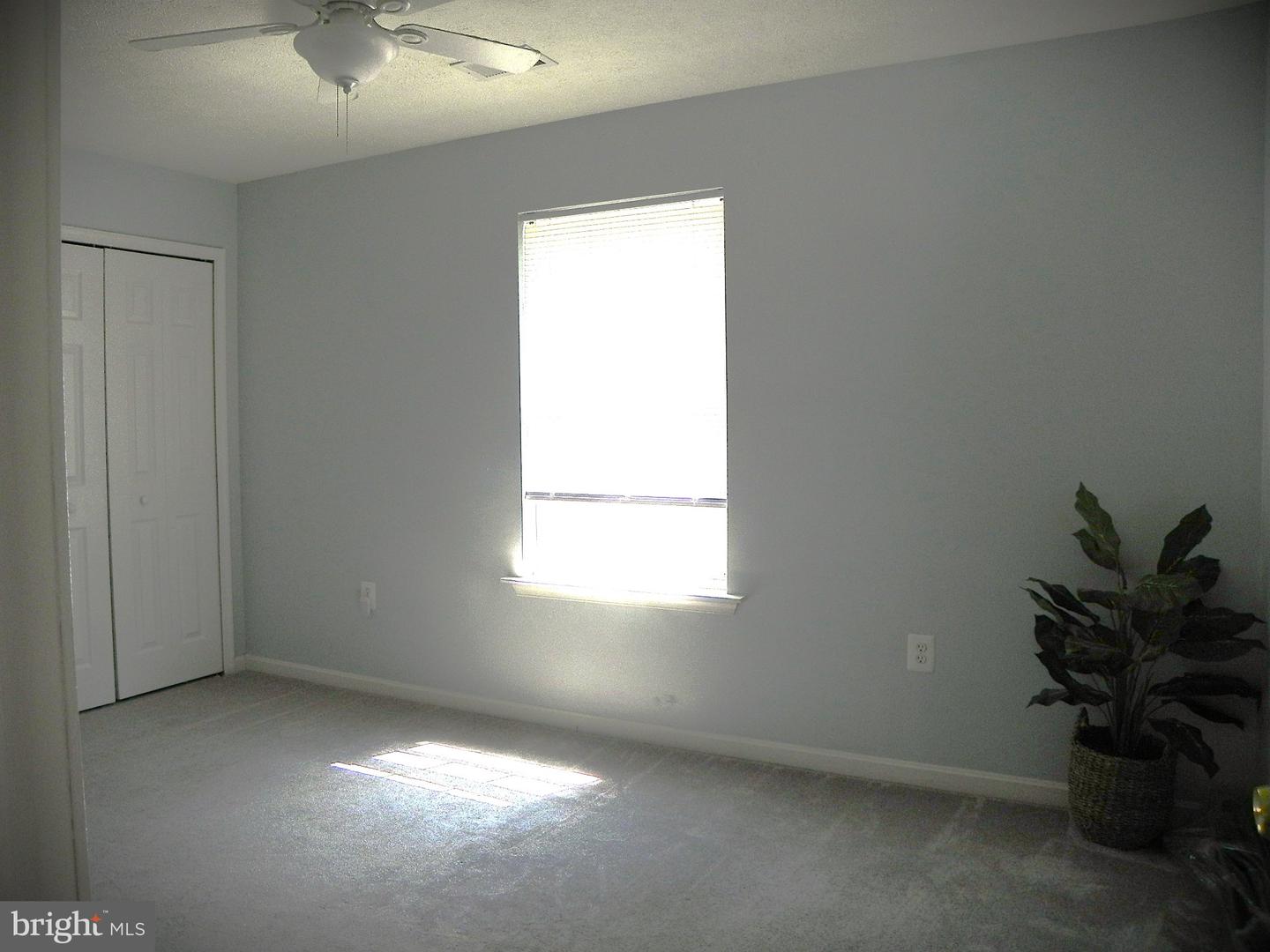 7875 Fern Hill St Property Photo 37