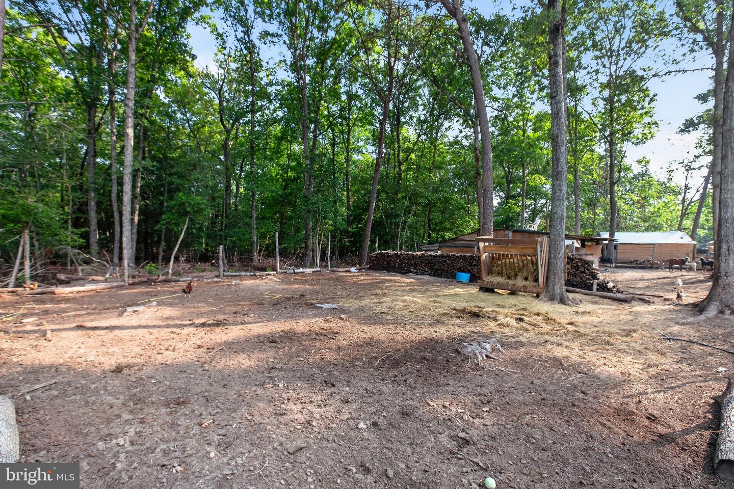 2905 Smith Point Rd Property Photo 16