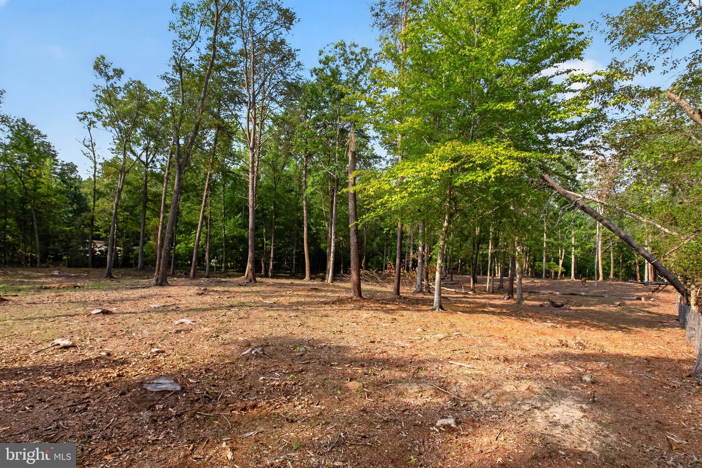 2905 Smith Point Rd Property Photo 20