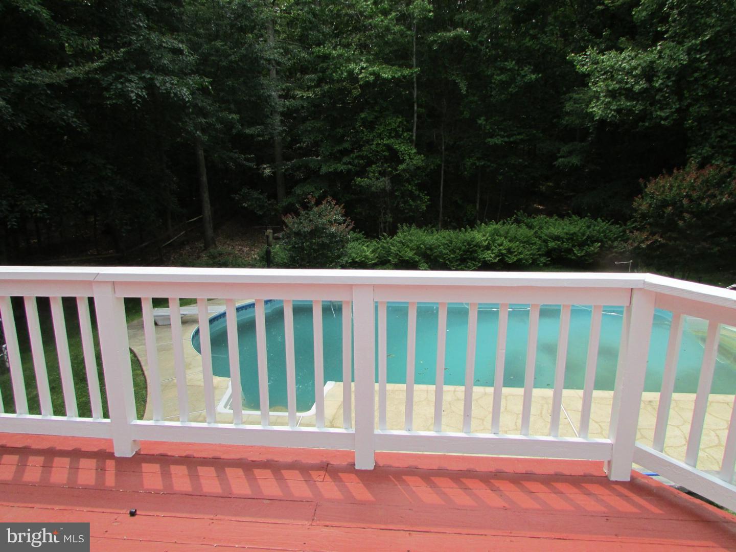 1009 Wales Dr Property Photo 29
