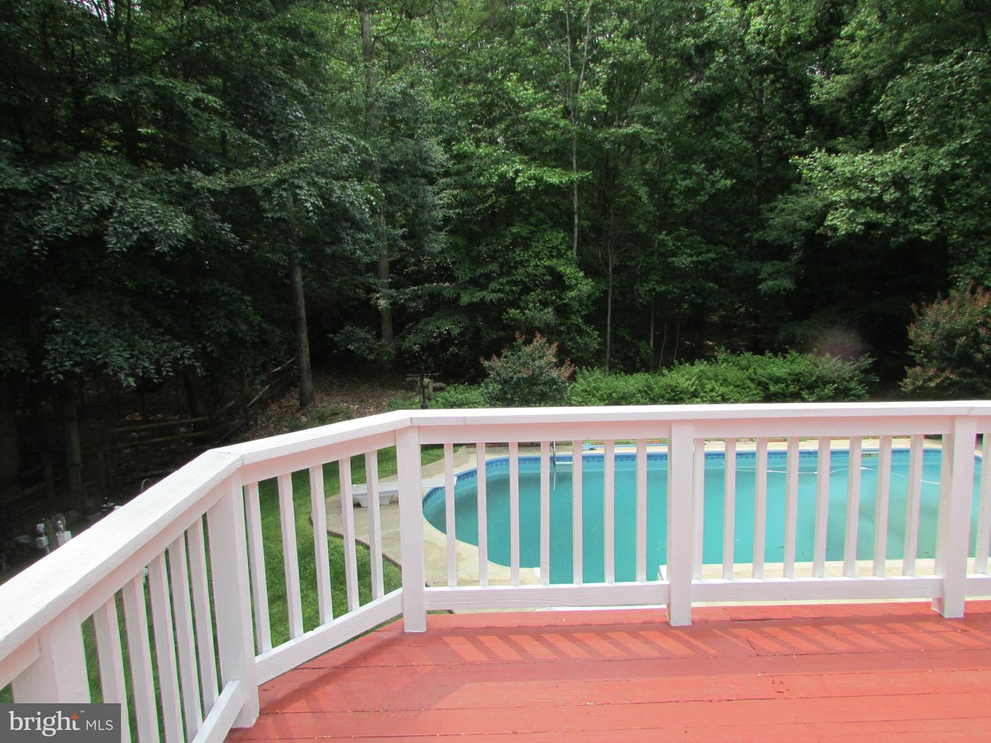 1009 Wales Dr Property Photo 30