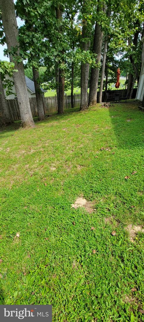 6780 Glen Albin Rd Property Photo 5