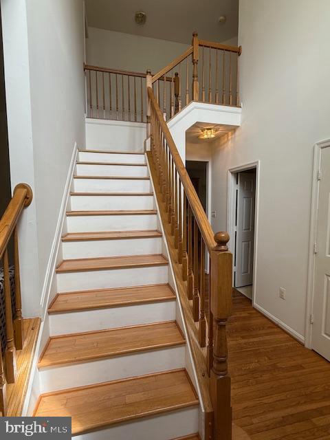 3001 Mandarin Pl Property Photo 12