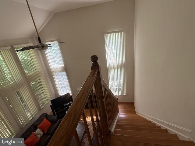 3001 Mandarin Pl Property Photo 33