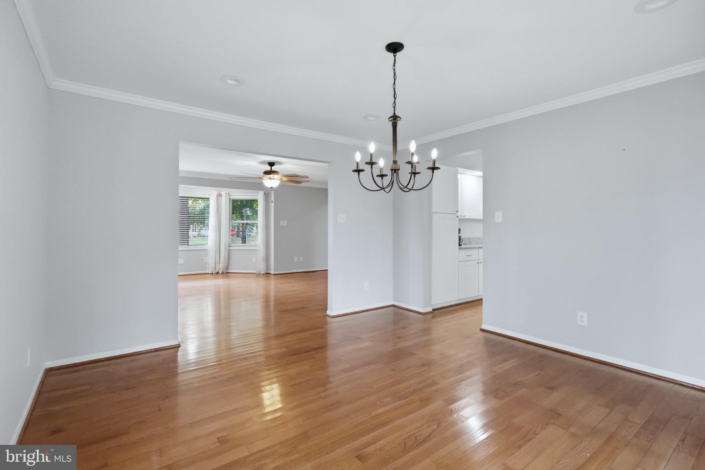 11452 Wollaston Cir Property Photo 14
