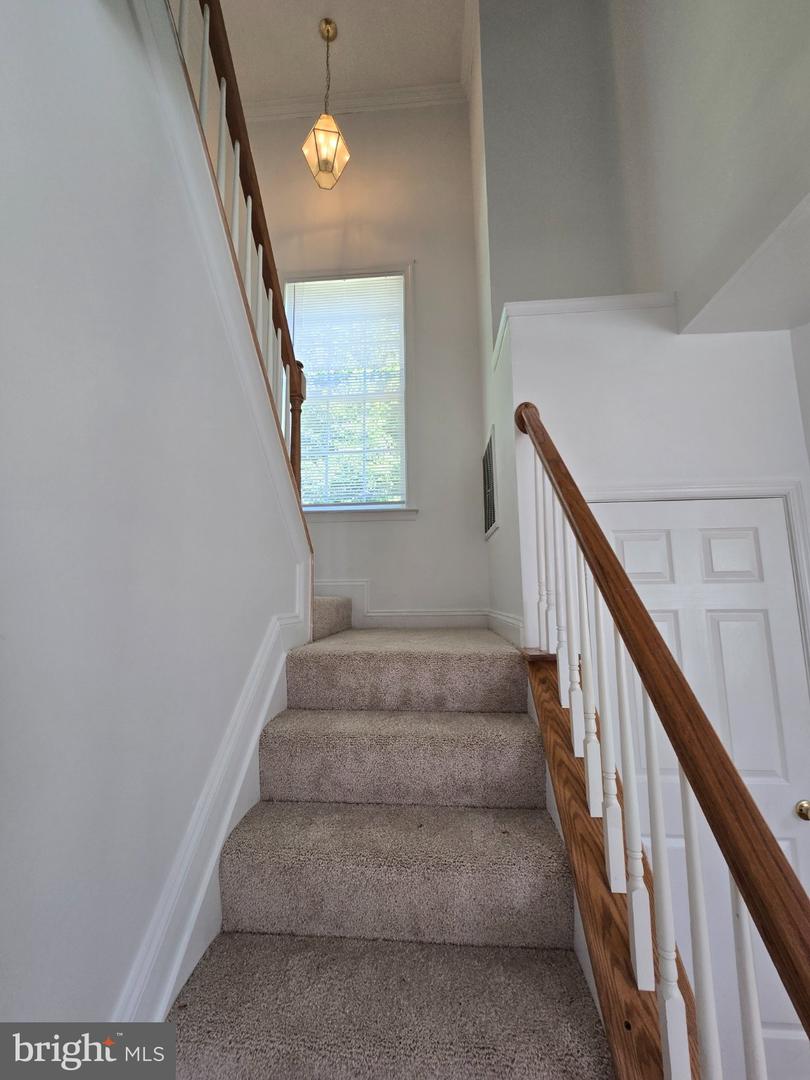 11327 Wildmeadows St Property Photo 18