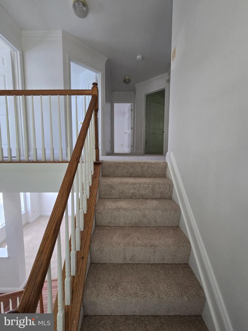 11327 Wildmeadows St Property Photo 19
