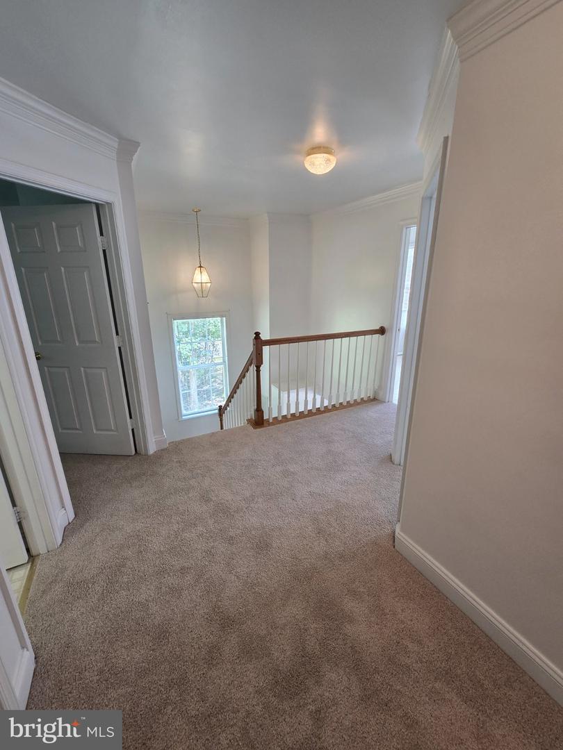 11327 Wildmeadows St Property Photo 20