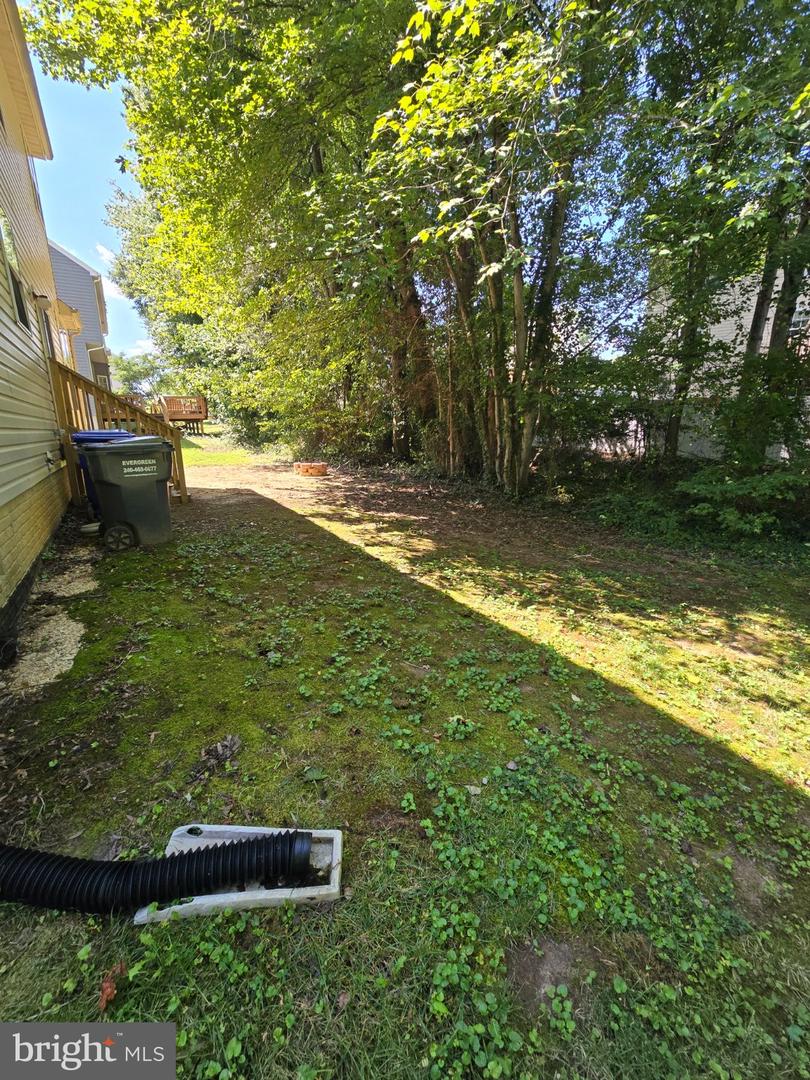 11327 Wildmeadows St Property Photo 56