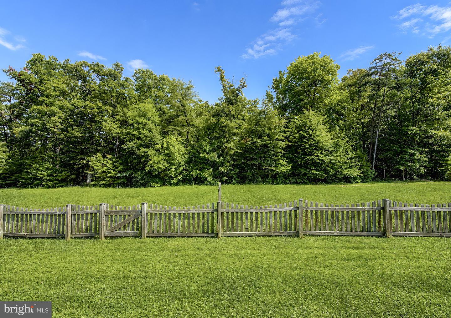 10482 Carberry Ct Property Photo 40