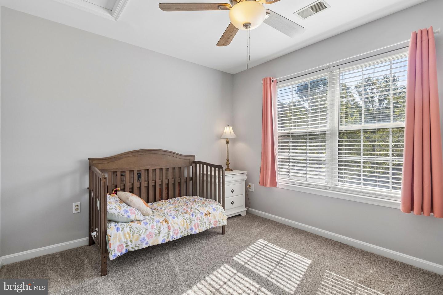 10779 Alyssa Ln Property Photo 21